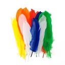 BOLSA DE PLUMAS FAST SURTIDO